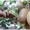 백이산 농장 이미지