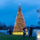 빛의 정원 - 20 이미지