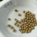 씨유진주하대현대점 | [진주 하대동 맛집]백세콩전문점 하대점 : 진주 현지인 맛집, 순두부수육 솔직후기