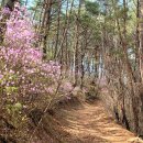 춘양면사무소 이미지