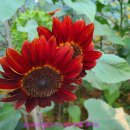 단원구청 이미지