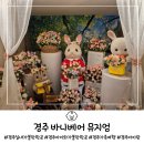 바니베어뮤지엄 | 아이랑 재미있게 즐기는 경주 여행, 바니베어 뮤지엄 내돈내산 후기