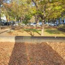 은석교사거리 정류장(하행) | 10월 가을축제_2025 파주페어 북앤컬처: 지혜의 숲, 한 권 마켓_세상 끝의 서점, 글항아리