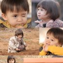 텃밭가꾸기 이미지