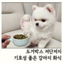 저단22 | 강아지 화식 사료 추천 도거박스 저단저지 식단