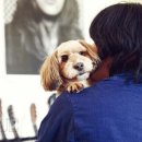 자매의하루 이미지