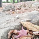 강화도부동산공인중개사사무소 이미지