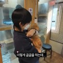 나도 유튜버  ( 유튜버 되기 ) | [예랑가랑] 251124 해운대 유기동물 보호소 봉사... 이렇게 유튜버 가까이에서 숨을 쉬어도 되는 걸까