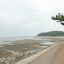 태안부동산공인중개사사무소 이미지