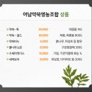 어남약쑥 이미지