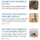 필라테스 재이 | 대구수성구요가 재이요가 원데이클래스 수업후기 수강료