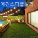 위드독애견스파풀빌라 이미지