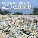 슬도주차장화장실 | 울산 동구 가볼만한곳 슬도 샤스타데이지 위치 개화상황 주차장