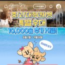 캐리비안베이 셔틀버스 예약 방법 (서울 경기도 천안 지역별 시간표 티켓가격)