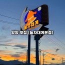 선사랑 놀자 | 강원도여행 양양맛집 [놀자대게본점] 내돈내산 두번째 방문 후기