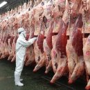 우리축산물유통 이미지