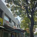 24년 10월 직장인의 일상 끄적 [백수탈출 : 직장인이 되다]