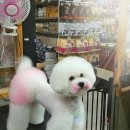 이츠펫(진천점) 이미지