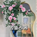멍뜰리에 네이버블로그