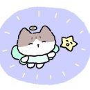 밀도 현대백화점 무역센터점 이미지