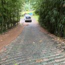 대야펜션 | 경주 촌집 한옥펜션 ‘석굴암한옥펜션 난실’ 추천 후기-비오는날 추억만들기