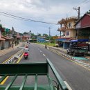 레드폭스 강변점 | 아프리카 사파리 말고 네팔 사파리 [네팔 여행] 치트완 Chitwan National Park