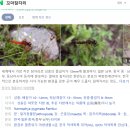 [경기도가볼만한곳]가평천 민물고기 방생과 탐어. 가평 어울림펜션 옆 계곡에서 소물낚시.
