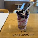 요거프레소 | 문경 에코월드 근처 갈만한곳 카페 요거프레소 문경가은점 방문 후기