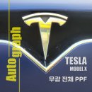 아우토서비스 건 | 하남 TESLA ModelX 테슬라 모델X 전체 무광 PPF 시공 후기