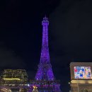 군사협의 전문 행정사 | 마카오 데이투어+나이트투어 한 번에! 전용차량 가이드 투어 후기약속 10% 할인