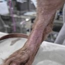 초로동물병원 이미지