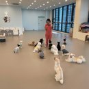 멍프리스쿨 이미지