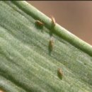 달을보는농부 이미지