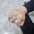 술마시는수정노래홀 | [계약 완료] 밥타닉파크 인정!! 보타닉파크웨딩 상담 및 뷔페 시식 후기 ㅣ 카라홀 vs 오키드홀