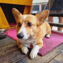 성천축산 이미지