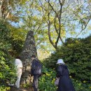 비양도모텔 이미지