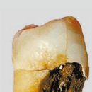 소중가치