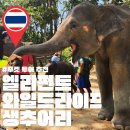 푸켓 투어 추천 코끼리 보호소 엘리펀트 와일드라이프 생추어리