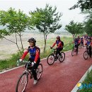 양양군 야구장 이미지