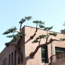 성불산자연휴양림 Daum카페