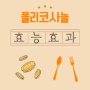 호주 면세점 상설 할인점 | 폴리코사놀, 혈관 청소부라는 말 사실일까