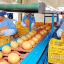 삼계농업협동조합 이미지