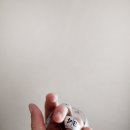 헬스메디한의원 이미지