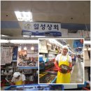 일성상회