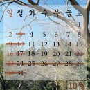 동이살롱 이미지