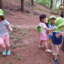 동심삐아제어린이집 이미지