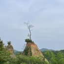 [일상 기록] 제천 사과나무집, 케이블카, 카페 제천 후기