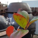 구로-고척-구로-1994 이미지