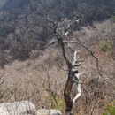 명덕삼거리 앞 이미지