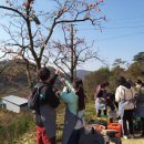 송금녹색농촌휴양마을 이미지